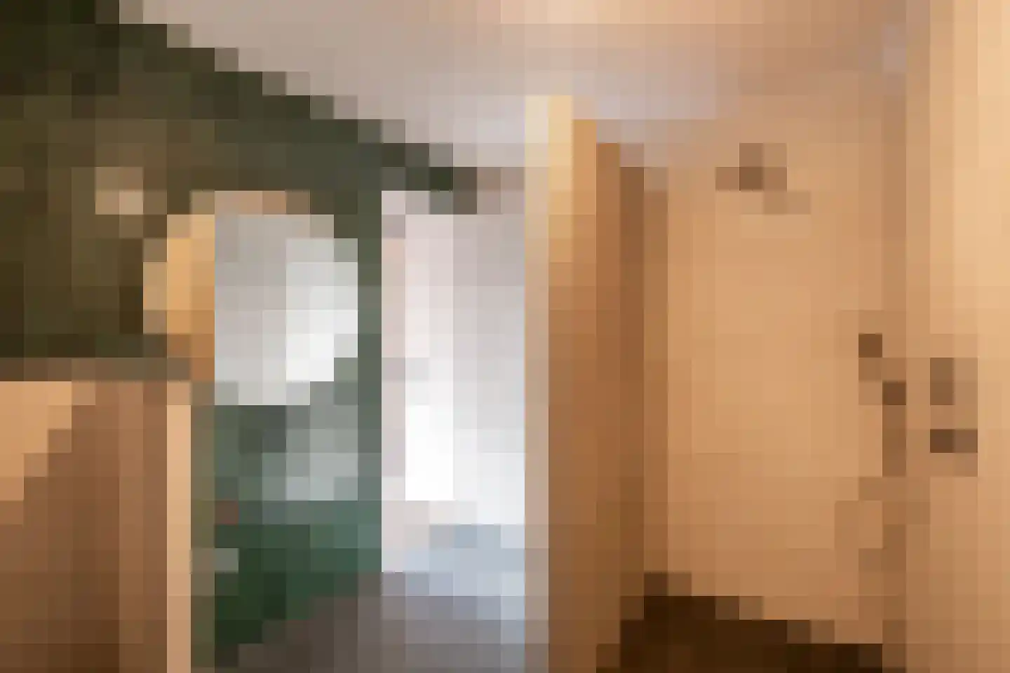 Deursenseweg 1 A Berghem thumbnail 17