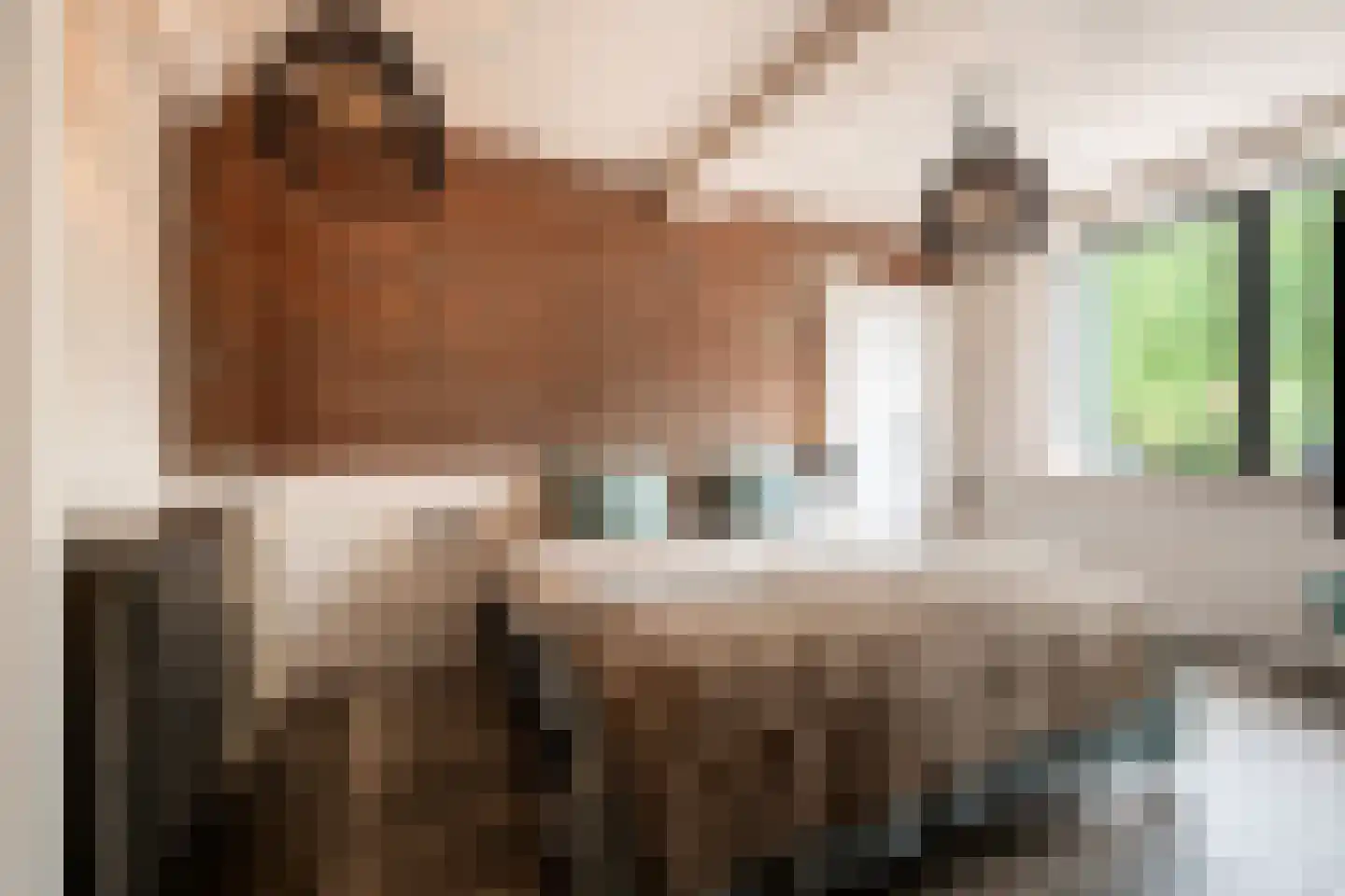 Deursenseweg 1 A Berghem thumbnail 17