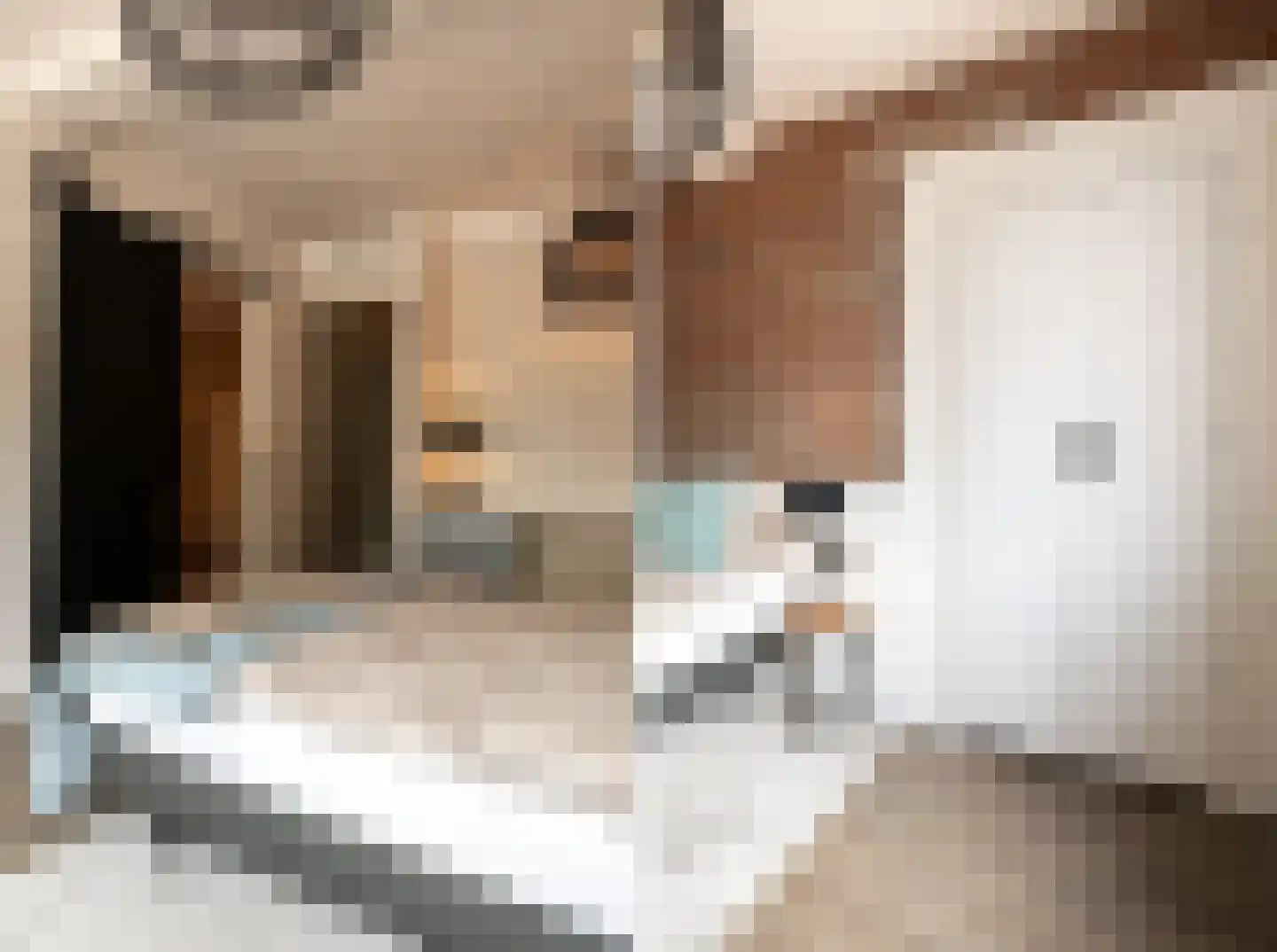 Deursenseweg 1 A Berghem thumbnail 18