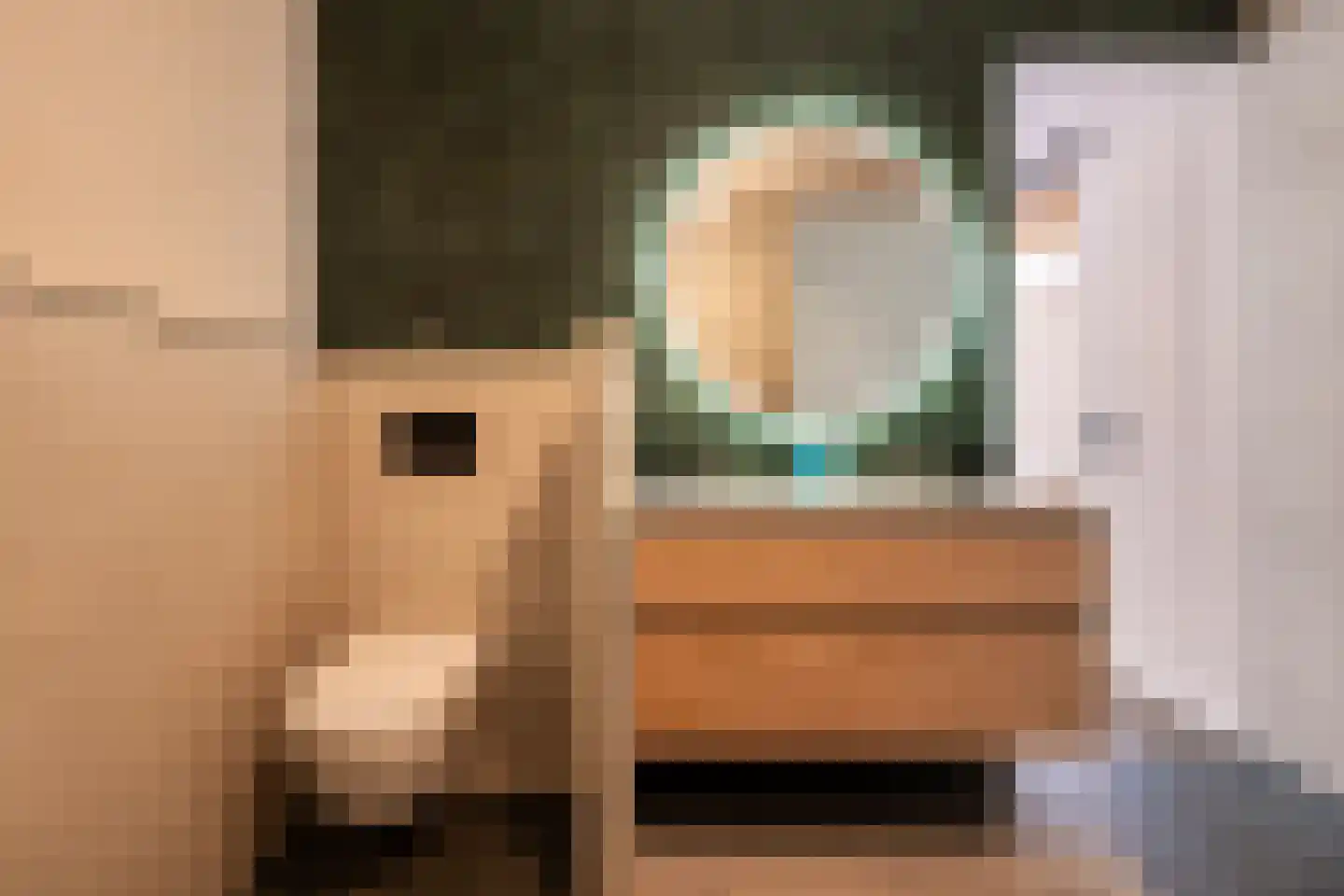Deursenseweg 1 A Berghem thumbnail 20