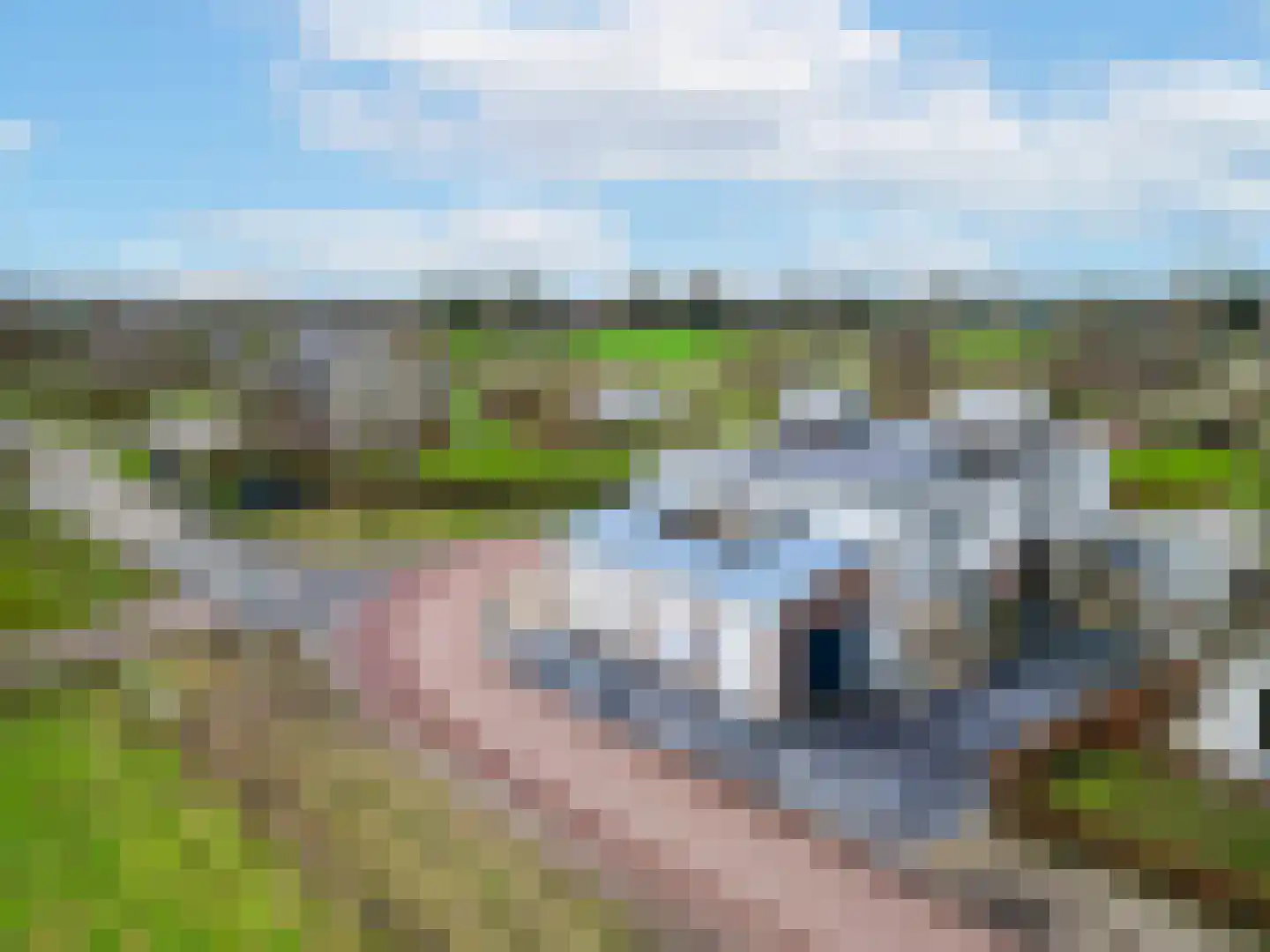 Deursenseweg 1 A Berghem thumbnail 21
