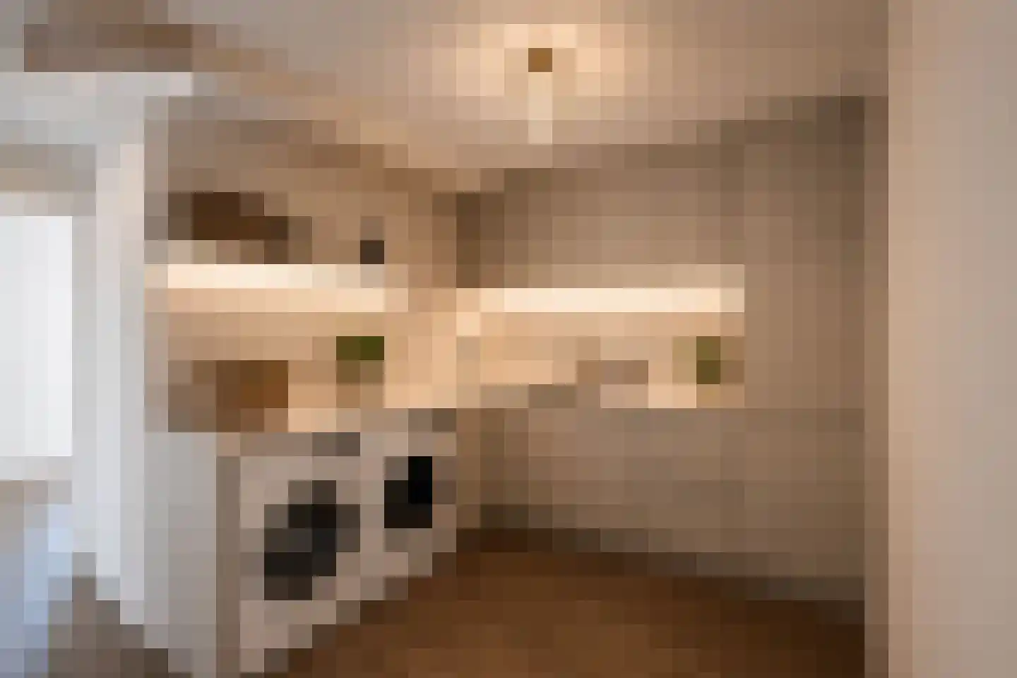 Deursenseweg 1 A Berghem thumbnail 25