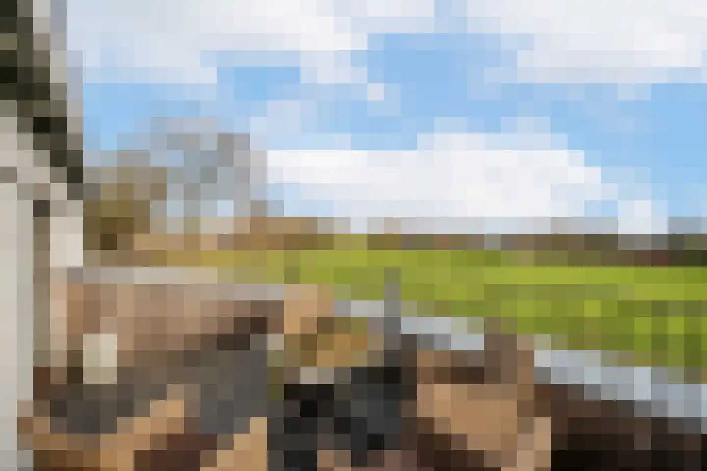 Deursenseweg 1 A Berghem thumbnail 4