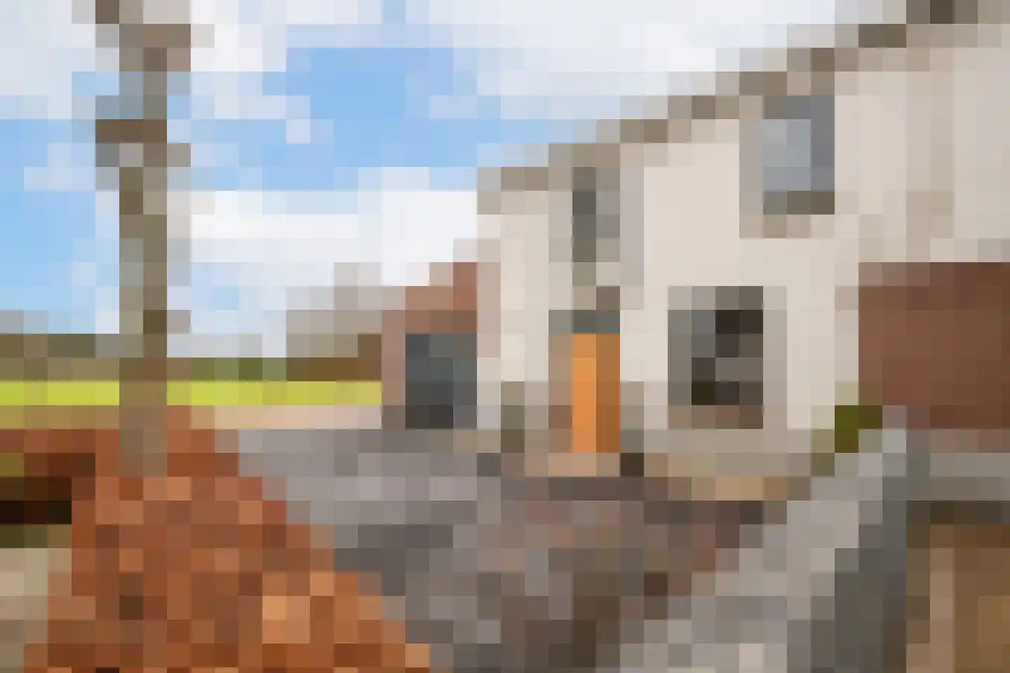 Deursenseweg 1 A Berghem thumbnail 5
