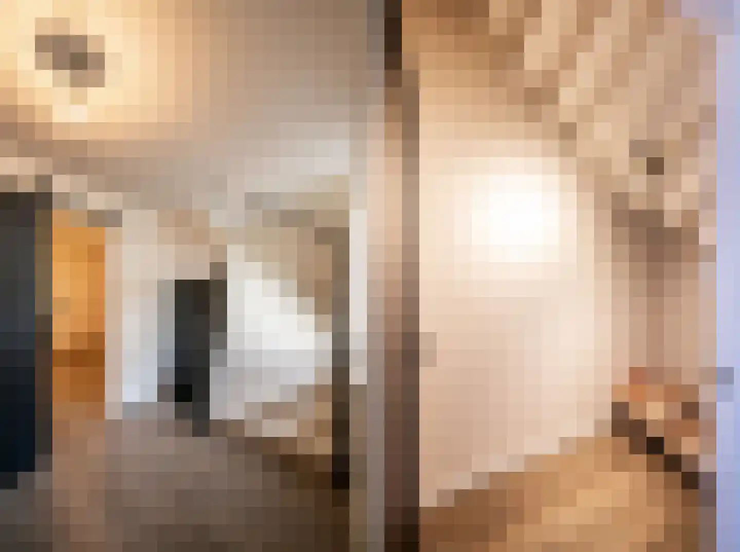 Deursenseweg 1 A Berghem thumbnail 6