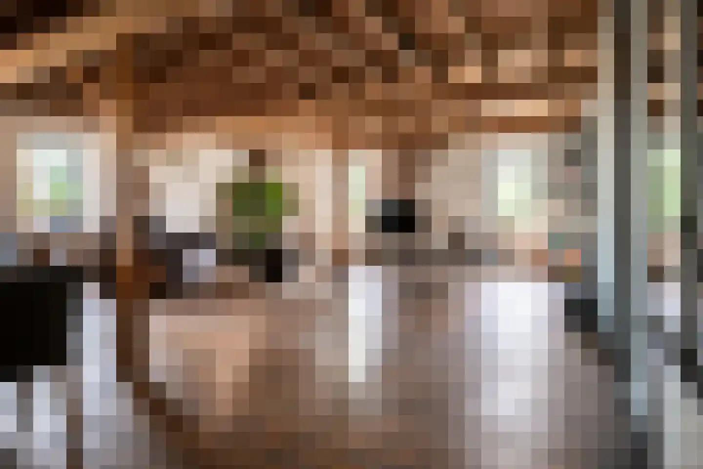 Deursenseweg 1 A Berghem thumbnail 8