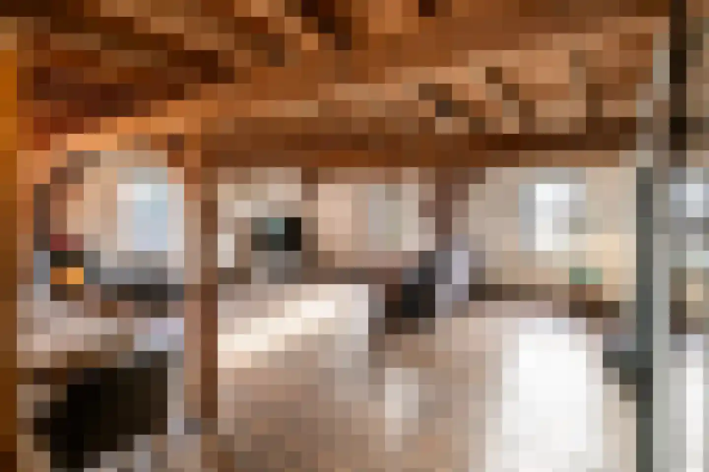 Deursenseweg 1 A Berghem thumbnail 8