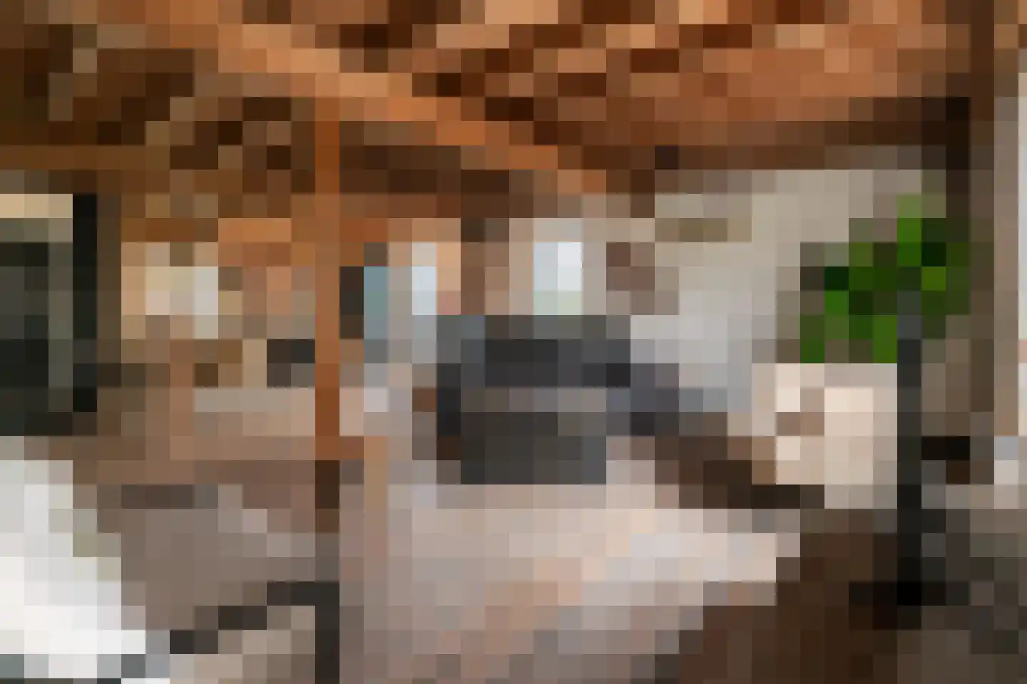 Deursenseweg 1 A Berghem thumbnail 9