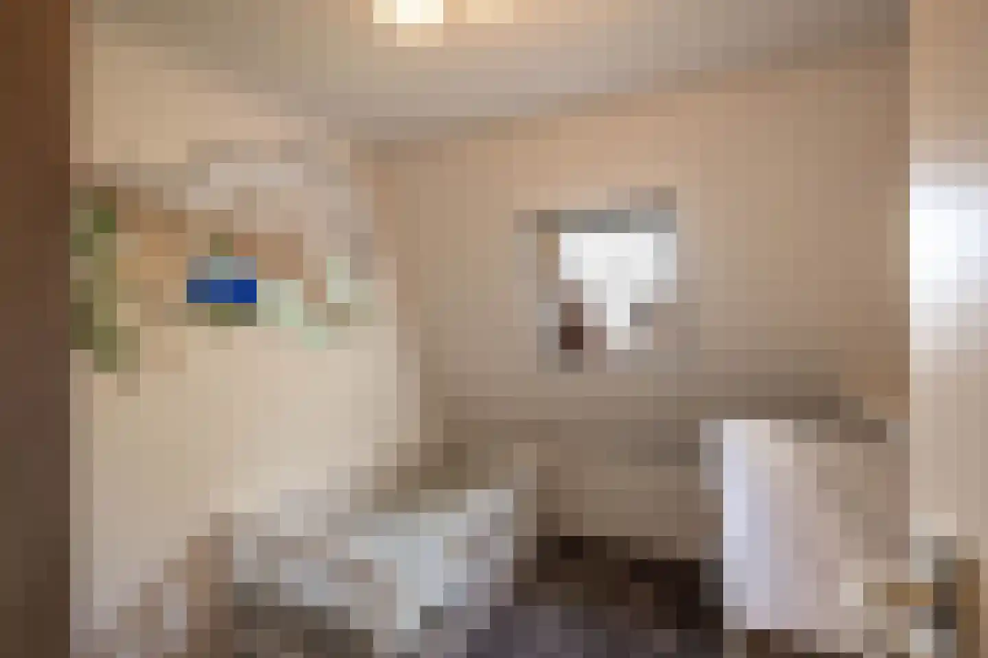 Deursenseweg 13 Berghem thumbnail 22