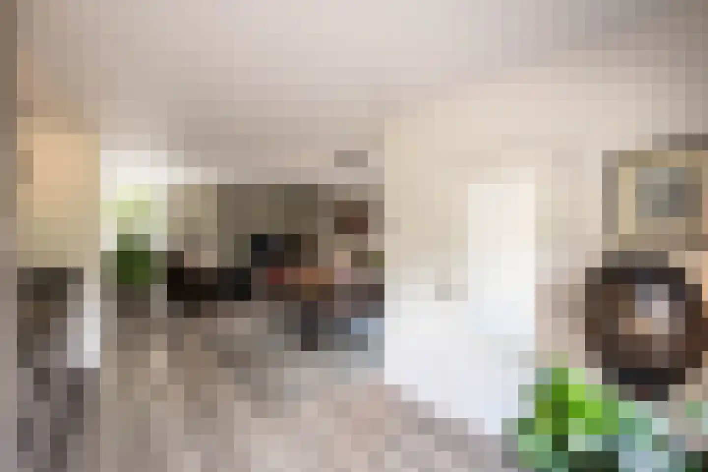 Deursenseweg 13 Berghem thumbnail 27