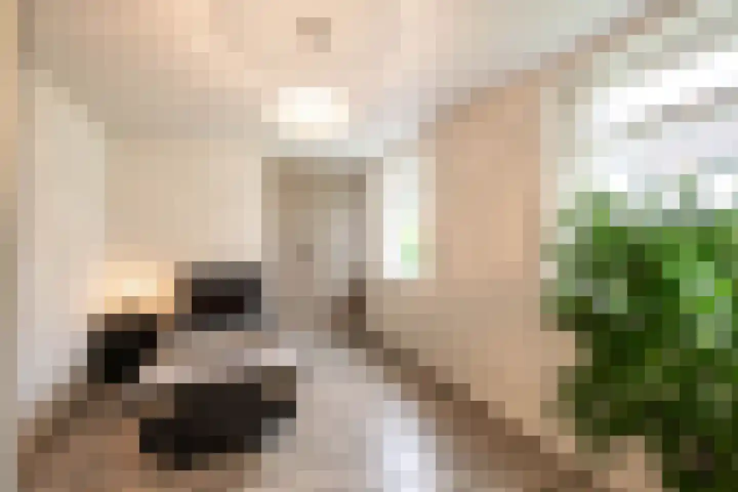 Deursenseweg 13 Berghem thumbnail 30