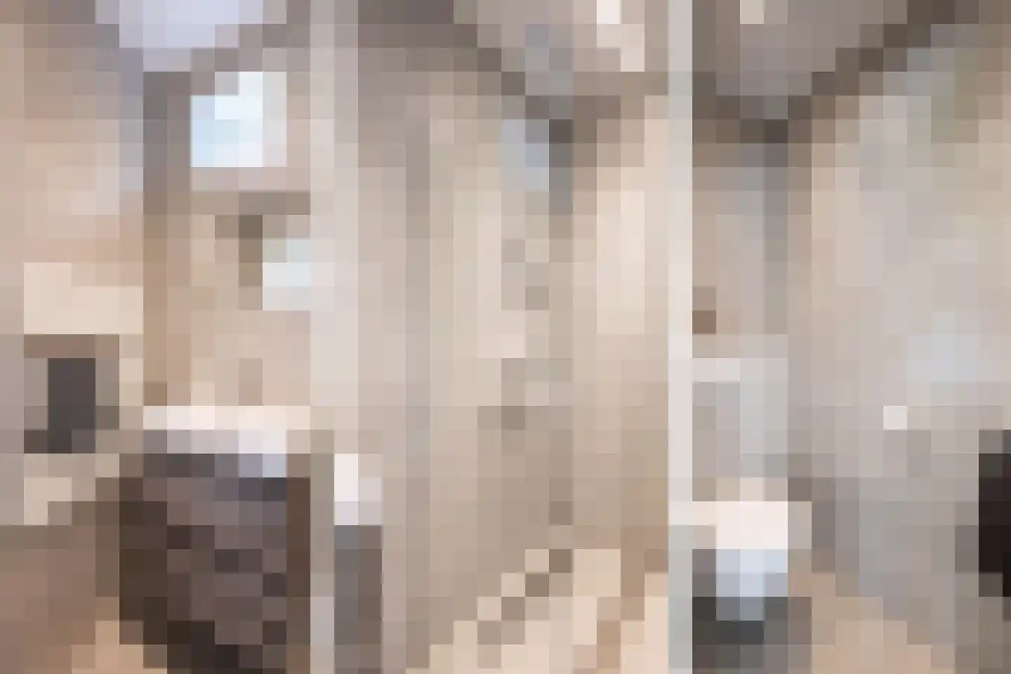Deursenseweg 13 Berghem thumbnail 32