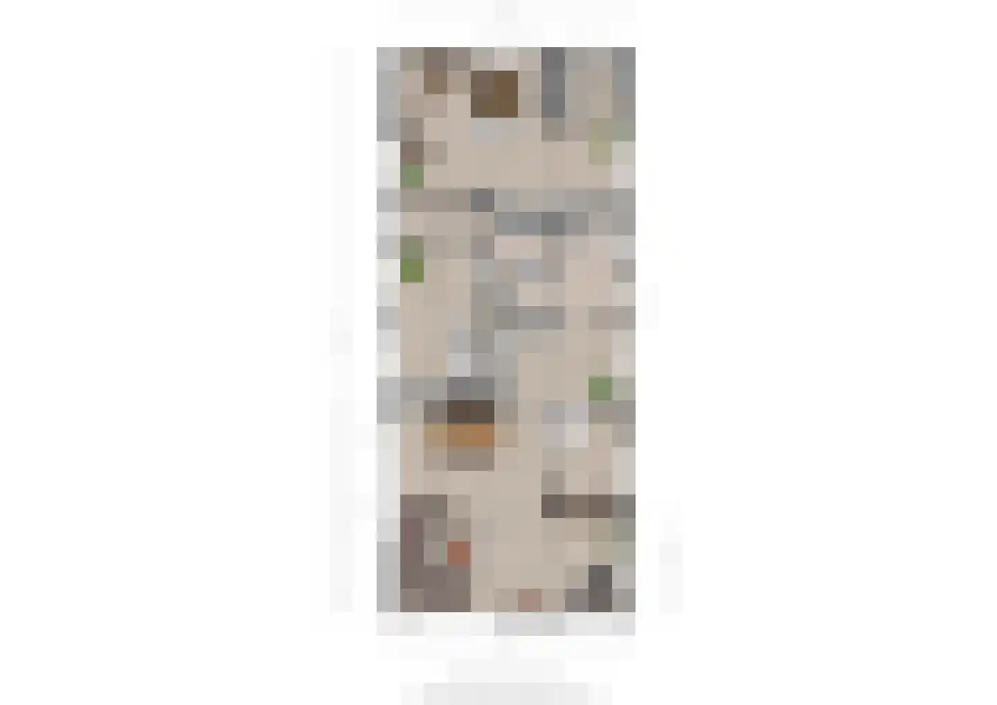 Deursenseweg 13 Berghem thumbnail 46
