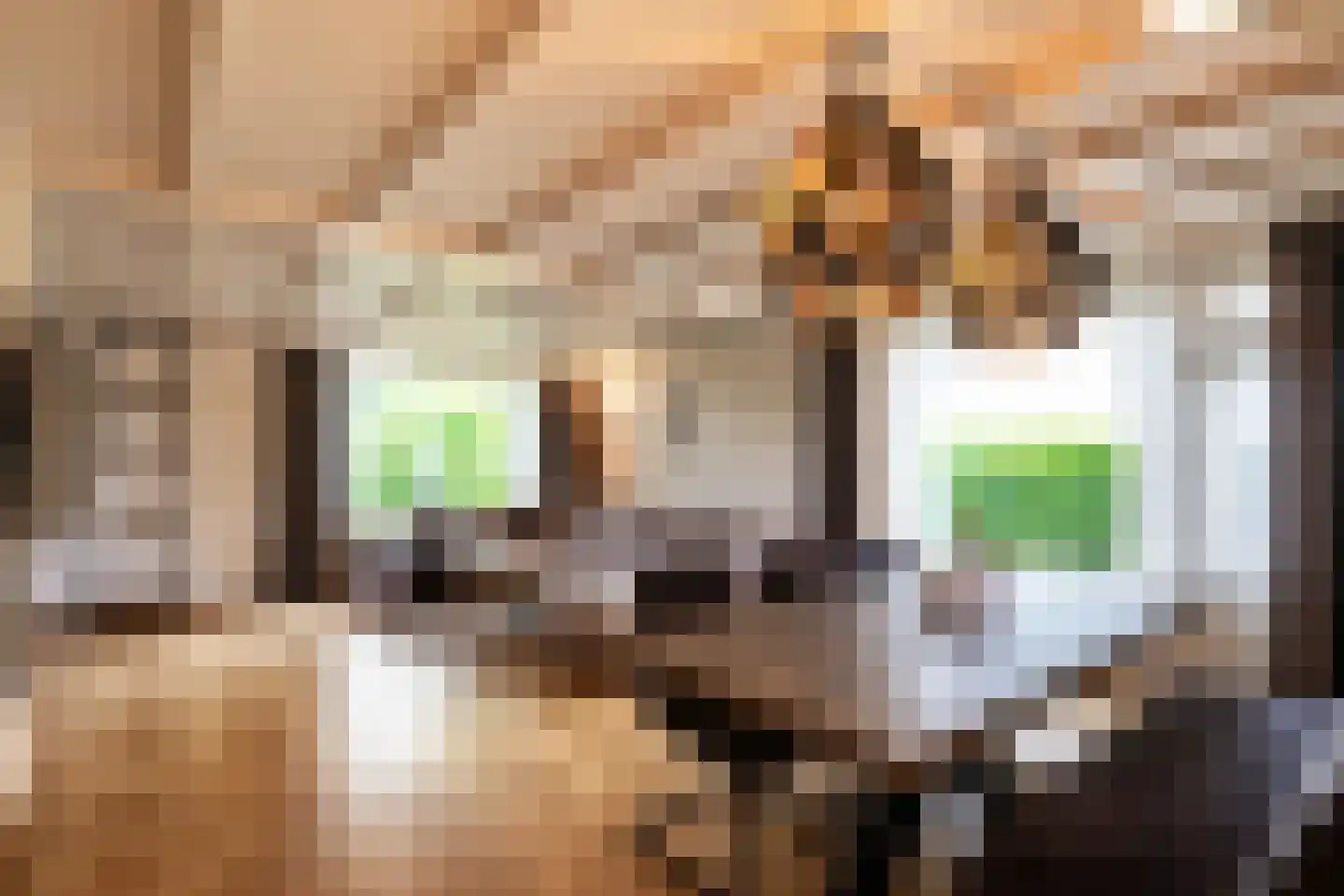 Deursenseweg 13 Berghem thumbnail 7