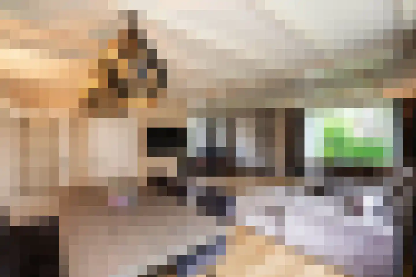 Deursenseweg 13 Berghem thumbnail 8