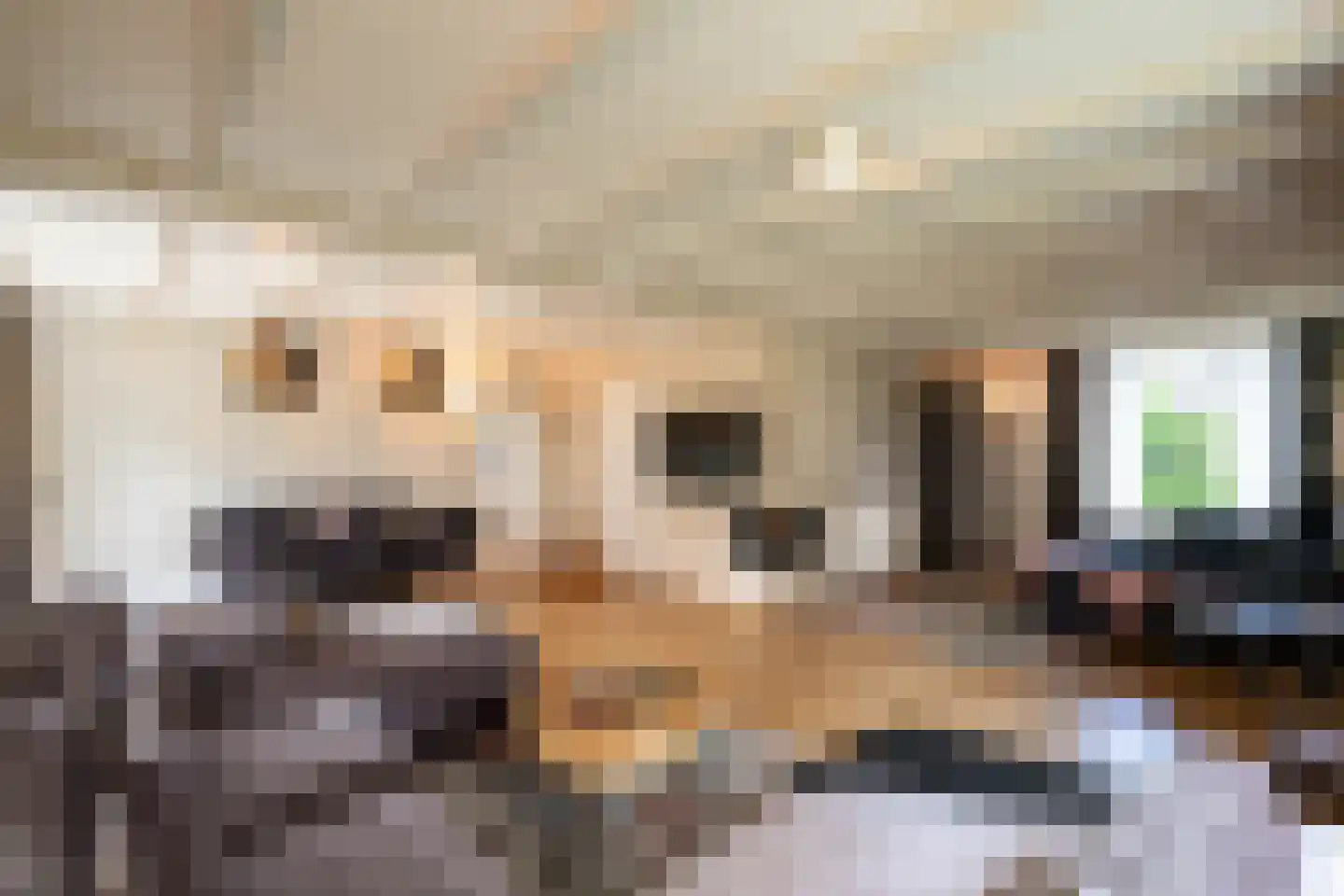 Deursenseweg 13 Berghem thumbnail 9