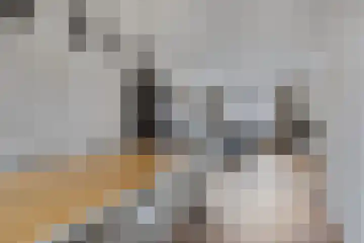 Deursenstraat 14 Tilburg thumbnail 16