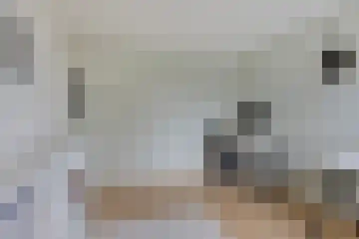 Deursenstraat 14 Tilburg thumbnail 32
