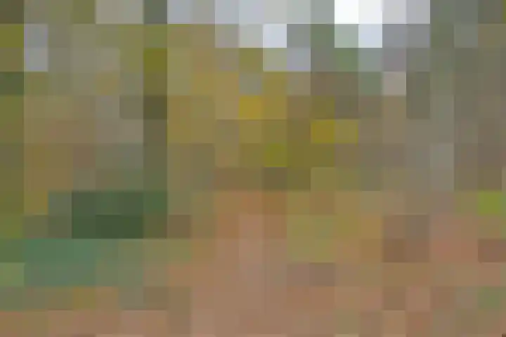 Deursenstraat 14 Tilburg thumbnail 47