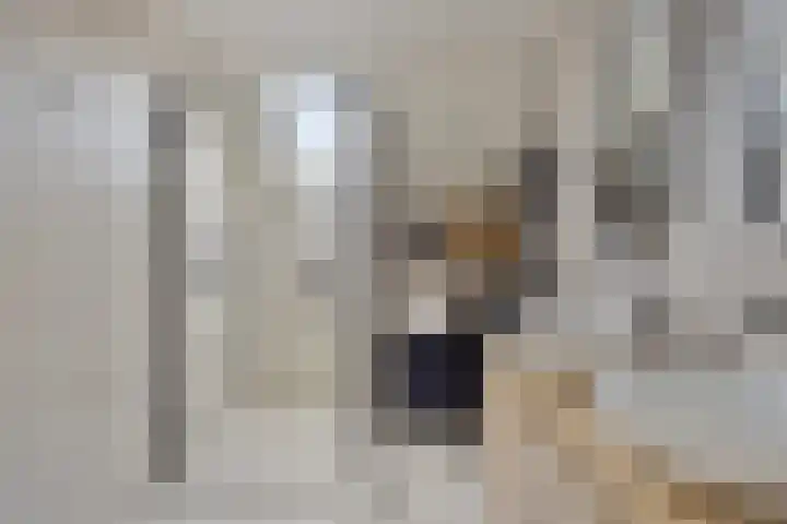 Deursenstraat 14 Tilburg thumbnail 5