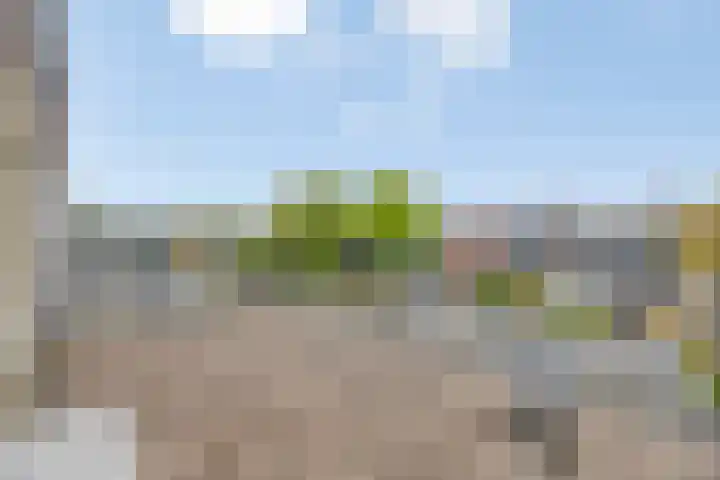 Deurvorststraat 3 Doesburg thumbnail 23