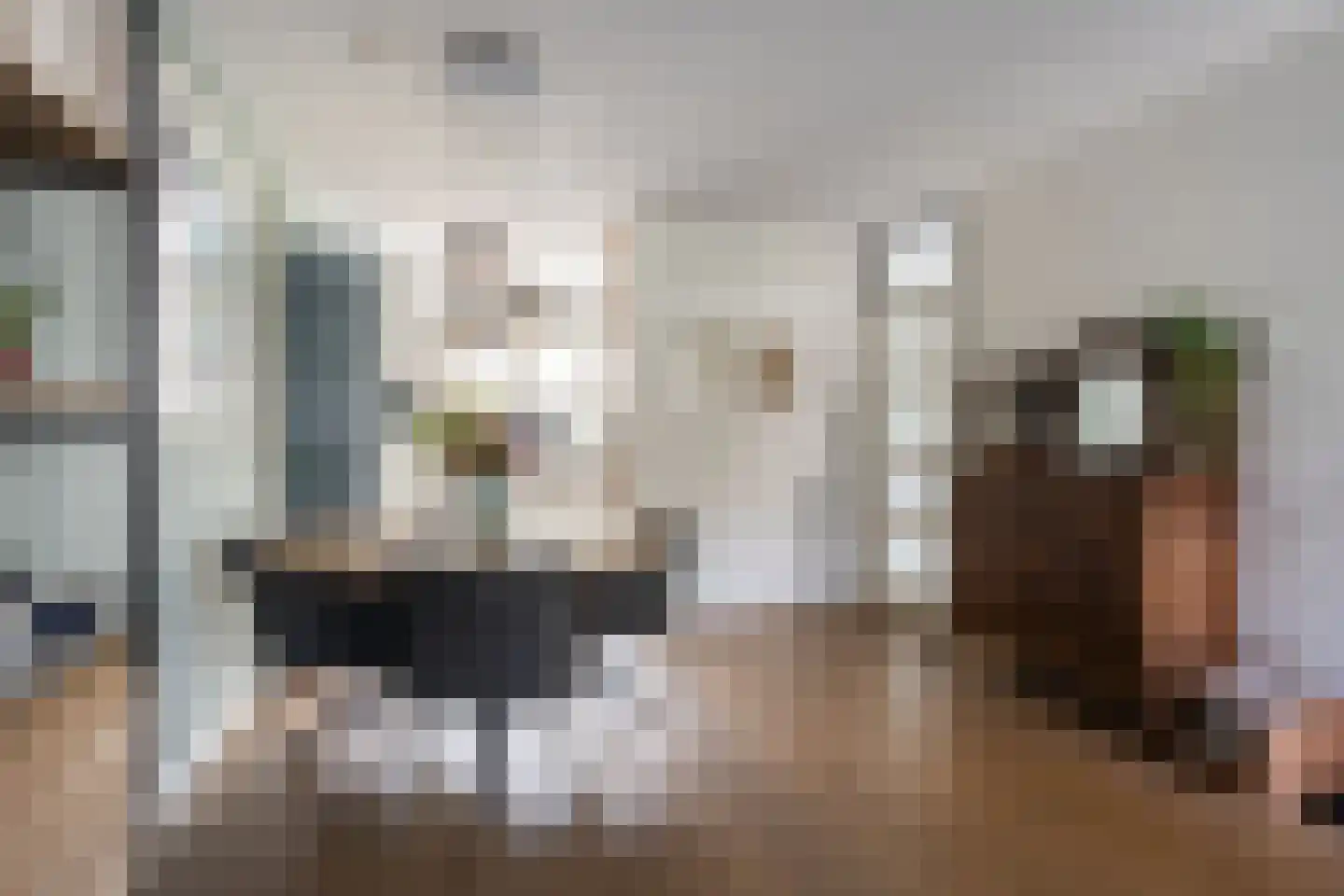 Deurzerdiep 4 Zwolle thumbnail 11