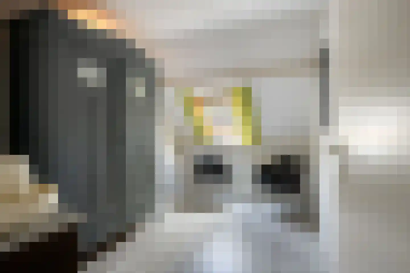 Deurzerdiep 4 Zwolle thumbnail 24
