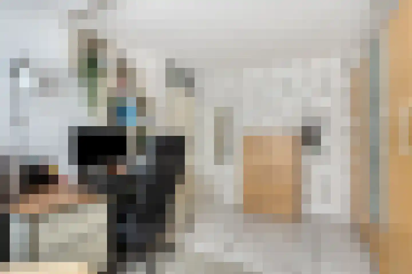 Deurzerdiep 4 Zwolle thumbnail 30