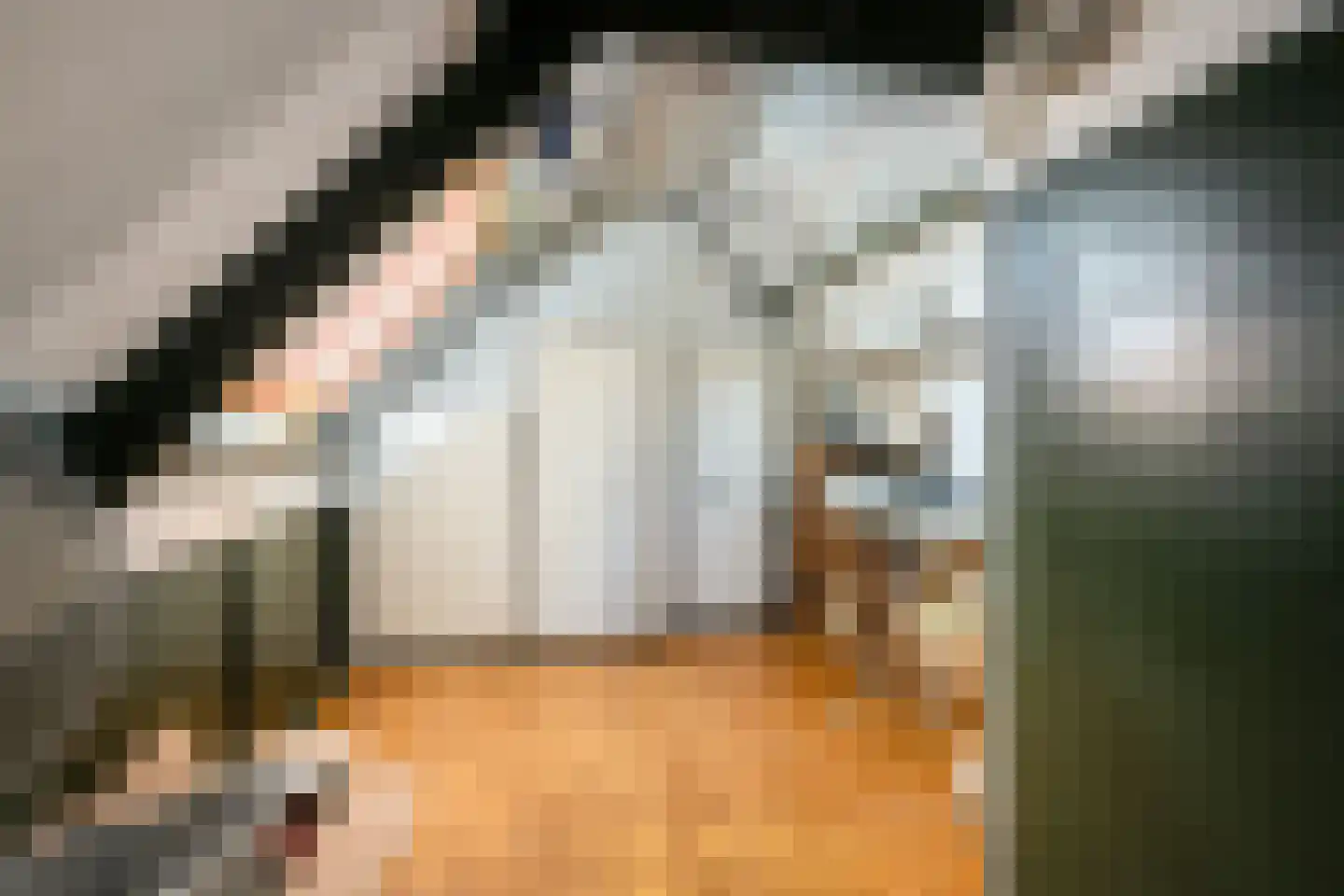 Deurzerdiep 4 Zwolle thumbnail 32