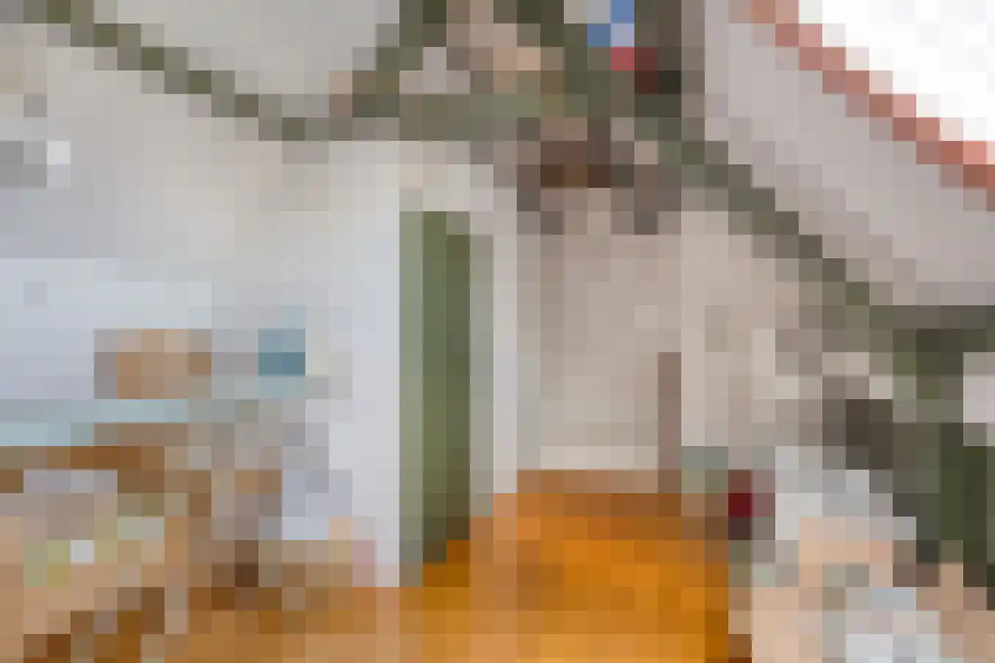 Deurzerdiep 4 Zwolle thumbnail 33