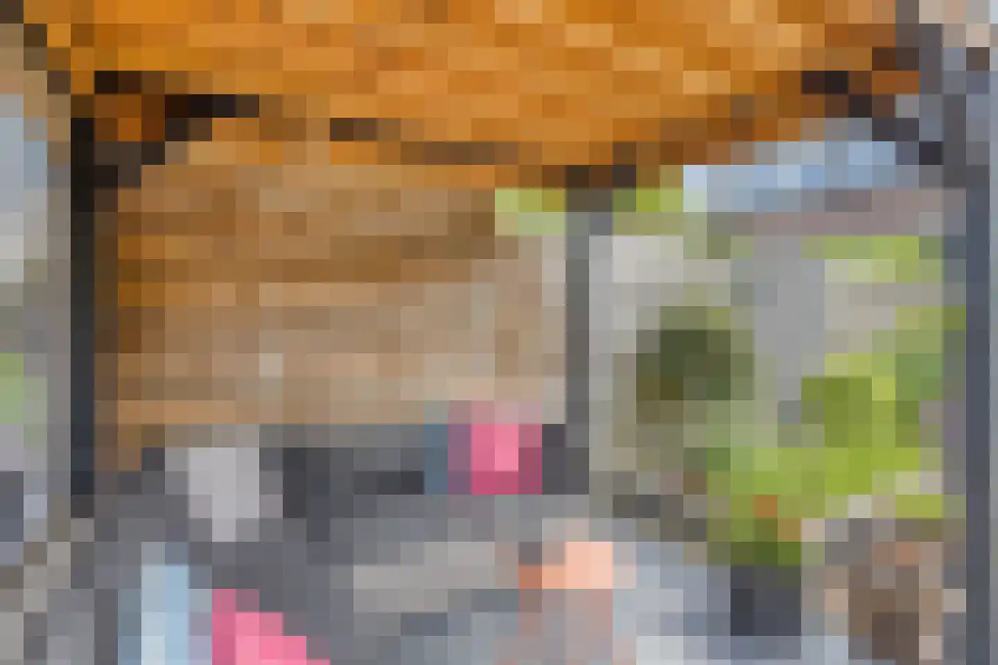 Deurzerdiep 4 Zwolle thumbnail 36