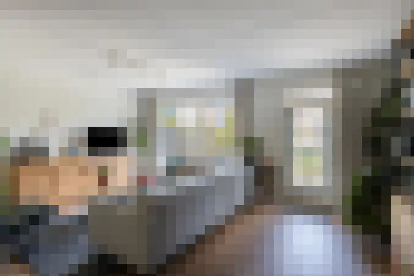 Deurzerdiep 4 Zwolle thumbnail 6