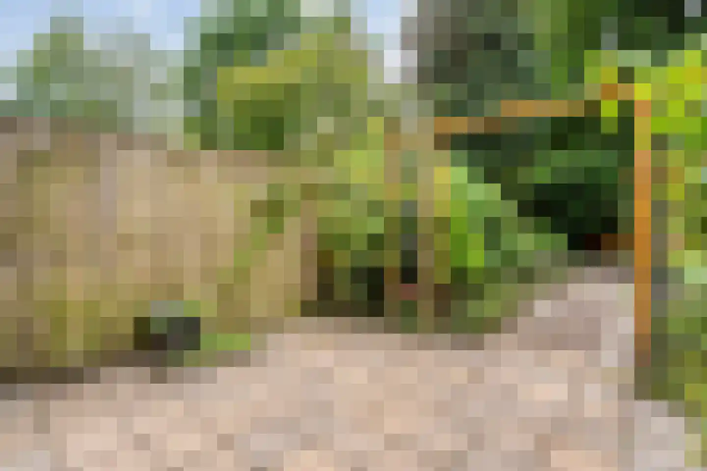 Deurzerdiep 41 Zwolle thumbnail 30