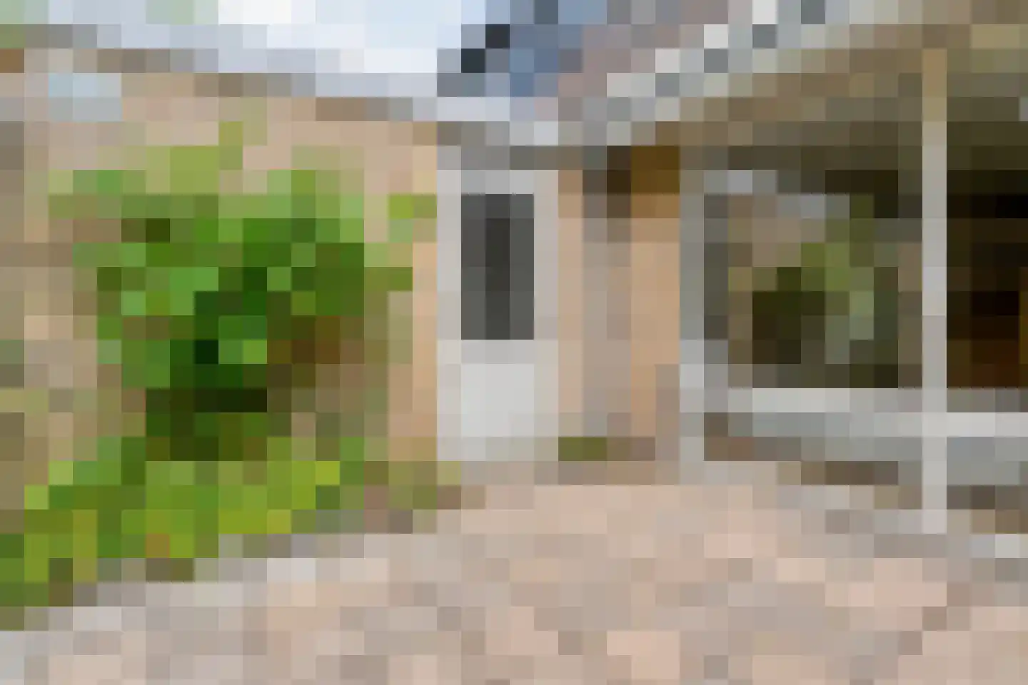 Deurzerdiep 41 Zwolle thumbnail 31