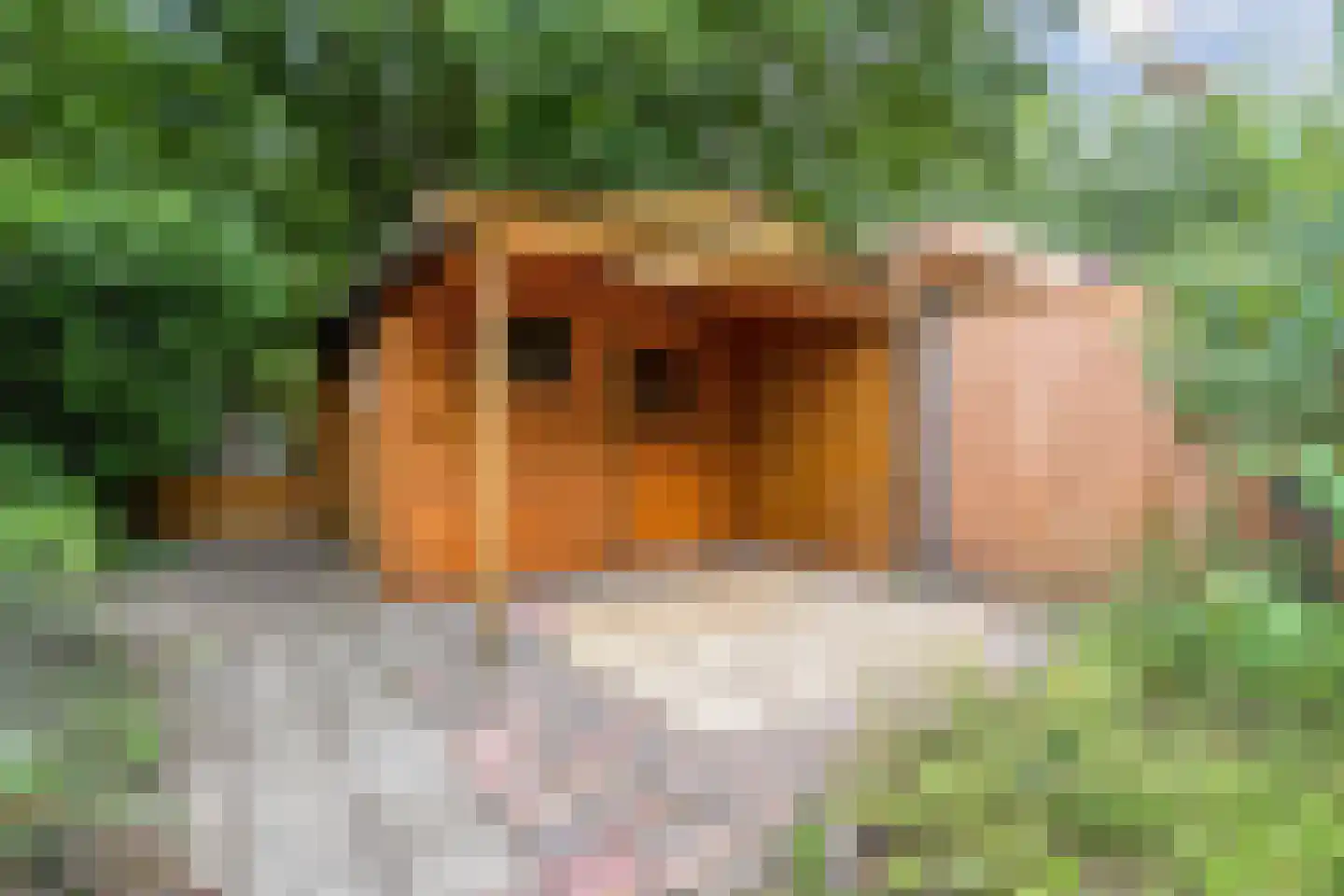 Deurzerdiep 41 Zwolle thumbnail 33