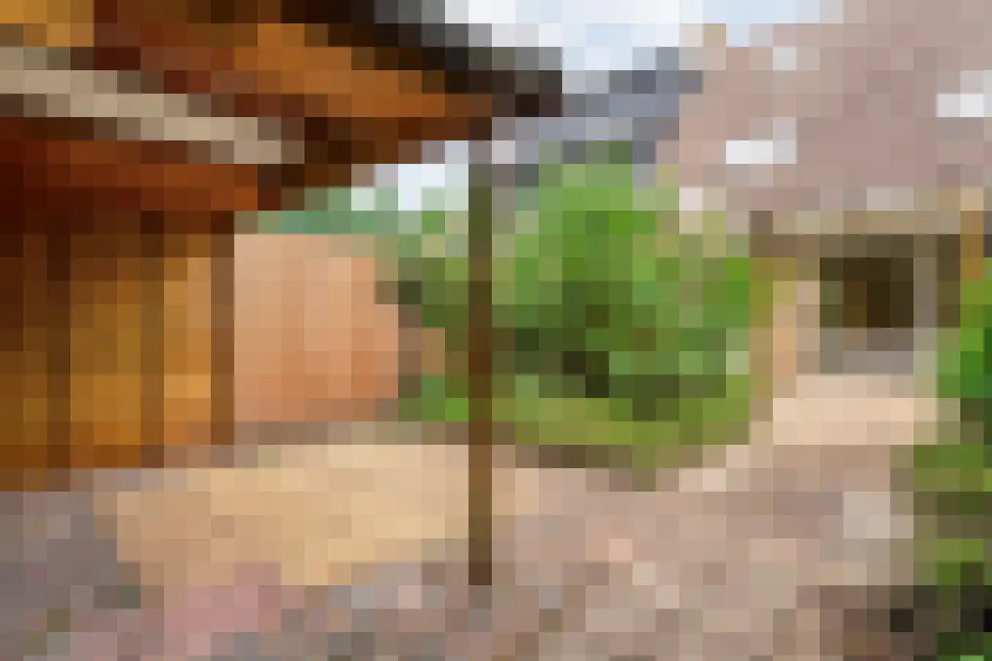 Deurzerdiep 41 Zwolle thumbnail 35