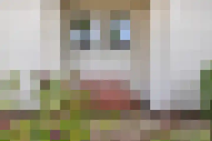 Deusonelaan 10 Diessen thumbnail 10