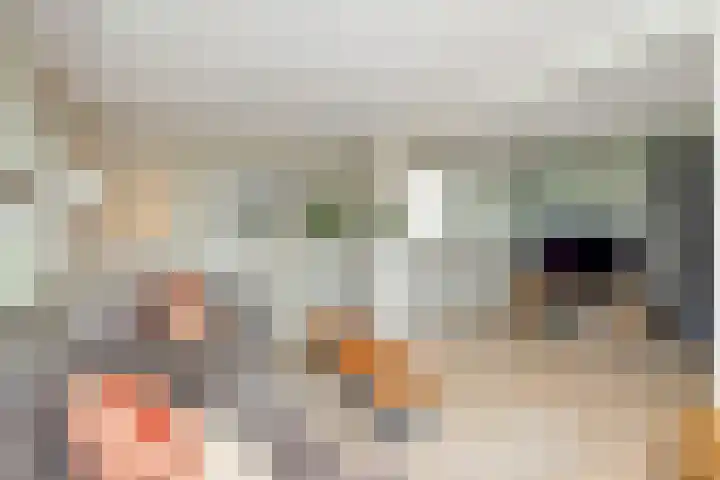 Deusonelaan 10 Diessen thumbnail 12
