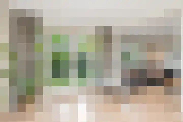 Deusonelaan 10 Diessen thumbnail 13