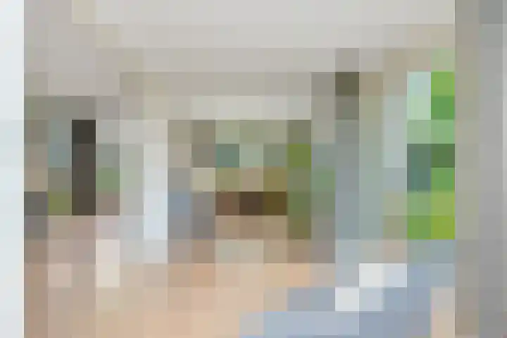 Deusonelaan 10 Diessen thumbnail 16