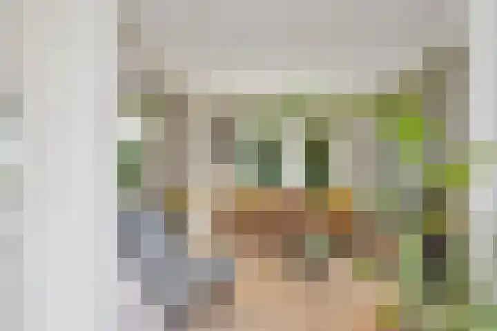 Deusonelaan 10 Diessen thumbnail 18