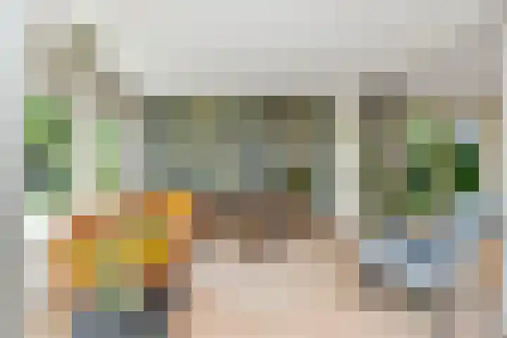 Deusonelaan 10 Diessen thumbnail 19