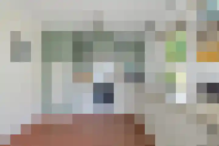 Deusonelaan 10 Diessen thumbnail 23