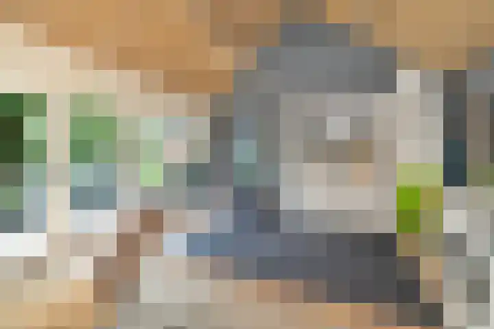 Deusonelaan 10 Diessen thumbnail 31