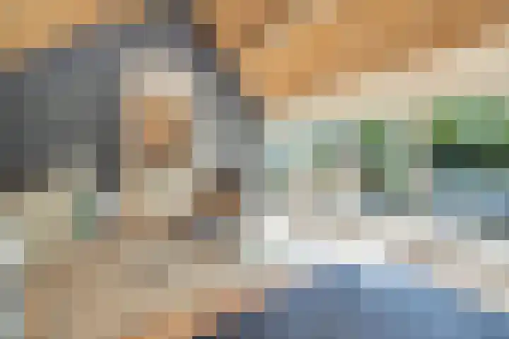 Deusonelaan 10 Diessen thumbnail 33