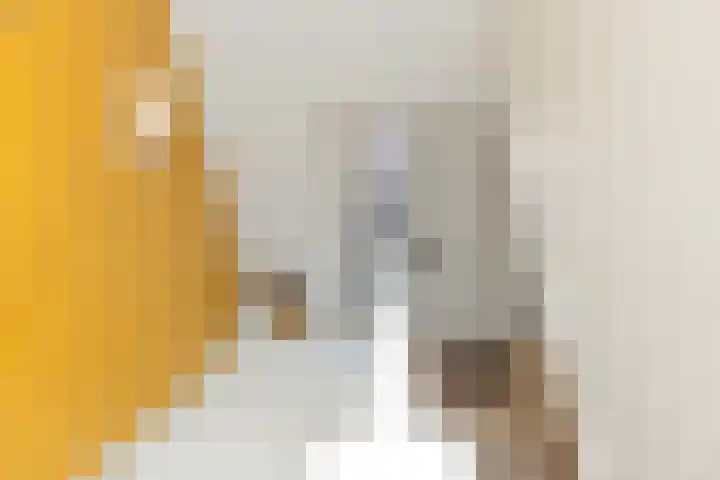 Deusonelaan 10 Diessen thumbnail 38