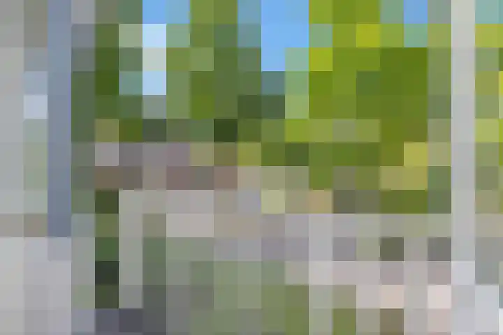 Deusonelaan 10 Diessen thumbnail 44