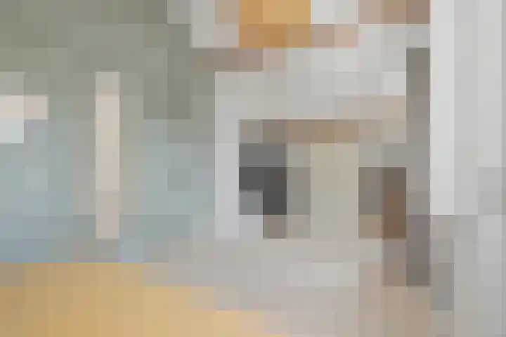 Deusonelaan 10 Diessen thumbnail 49