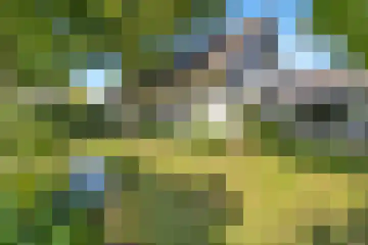 Deusonelaan 10 Diessen thumbnail 5