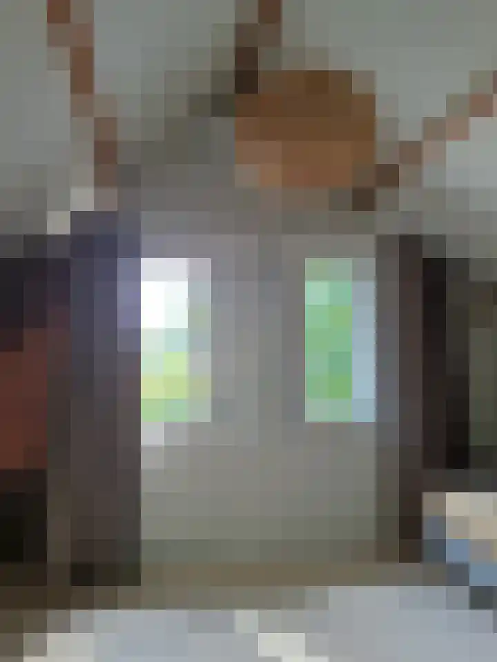 Deusonelaan 10 Diessen thumbnail 51